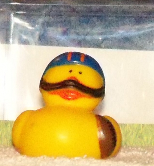 Football Duck