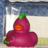 Purple Dinosaur