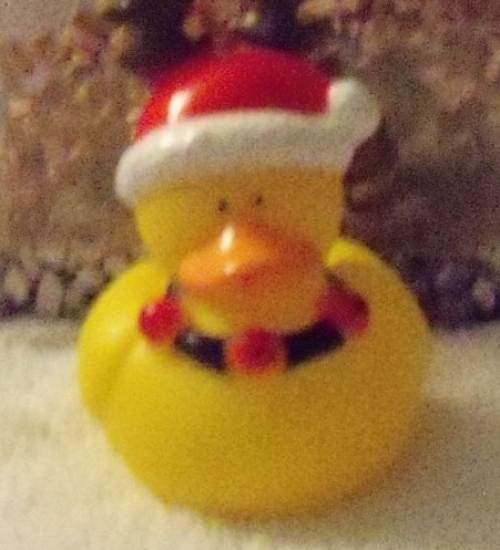 Reindeer Duck