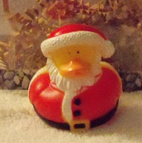 Santa Duck