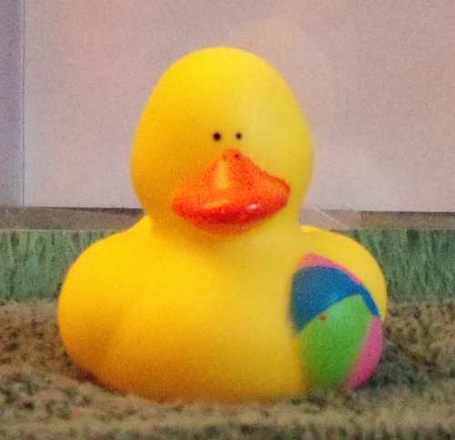 Beach Duck with Beach Ball
