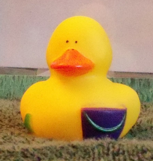 Beach Duck with Pail