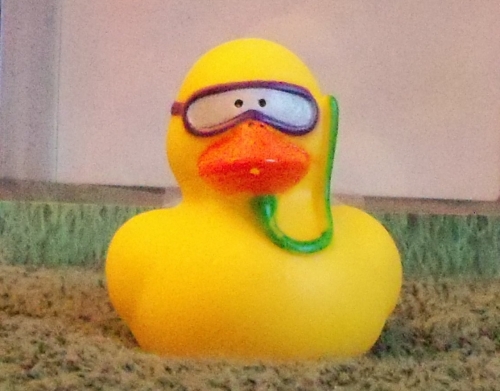 Beach Duck with Snorkel