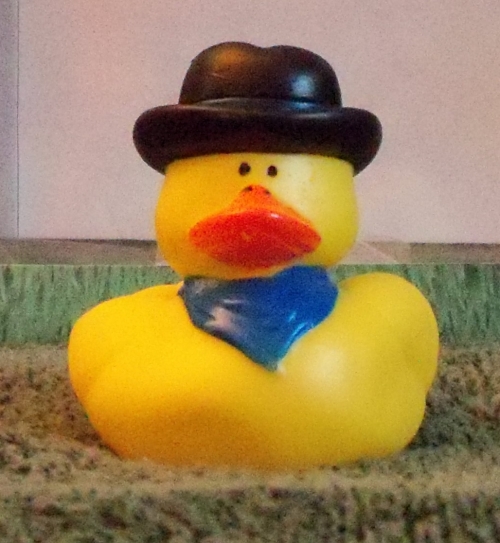 Cowboy with Blue Bandana