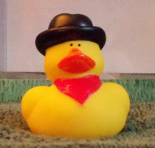 Cowboy with Red Bandana