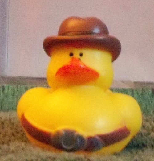 Cowboy Duck