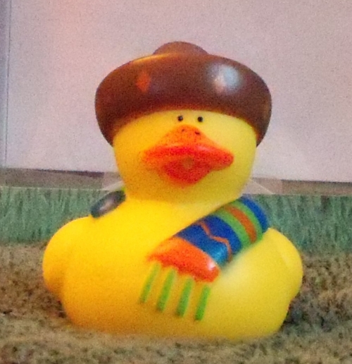 Fiesta With Colorful Scarf