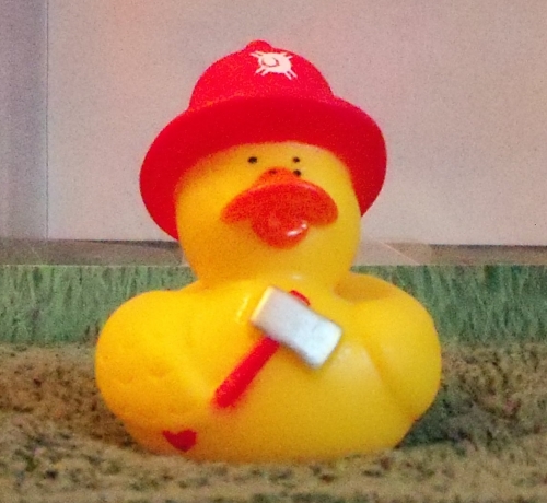 Fireman Duck