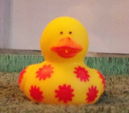 Red Flowered Duck