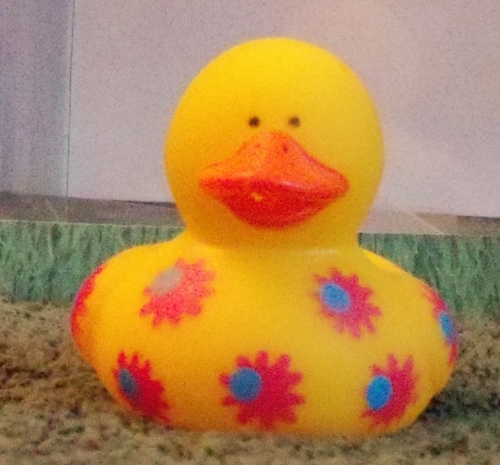 Pink Flowered Duck