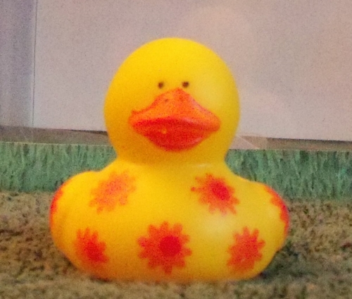 Orange Flowered Duck