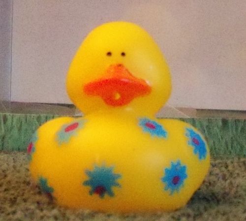 Blue Flowered Duck
