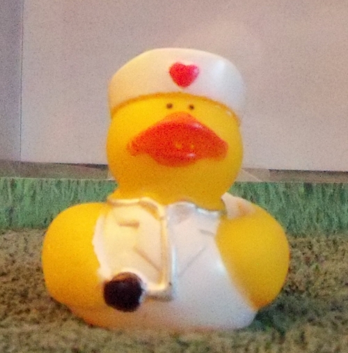 Nurse Duck