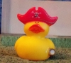 Pirate Captain