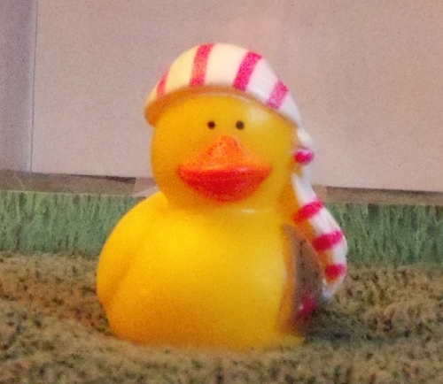 Pirate without Eye Patch