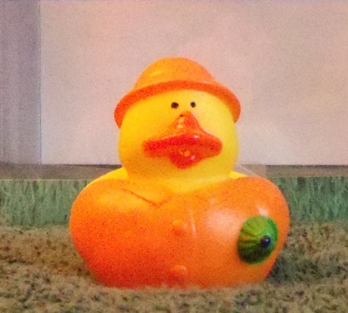 Green Rain Duck