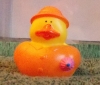 Pink Rain Duck