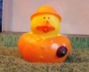 Purple Rain Duck