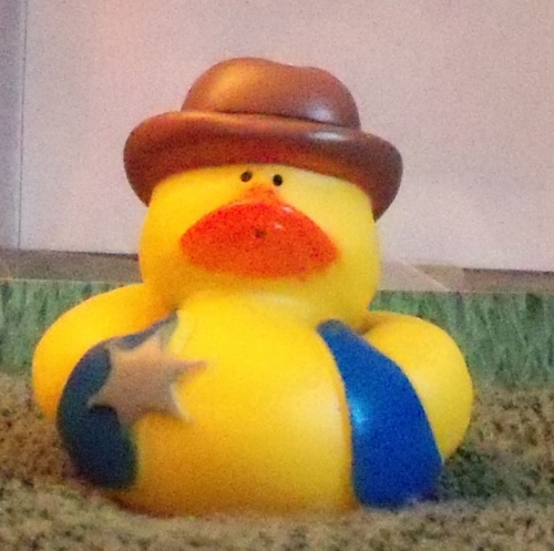 Sheriff Duck